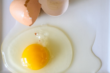 broken egg on a plate