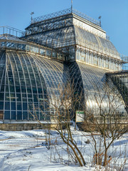 Fototapeta premium Vertical photo of old Botanical Garden, glass walls, multi-level greenhouse, facility allowing plants to bloom all year round, special climate for plants, winter concept. 