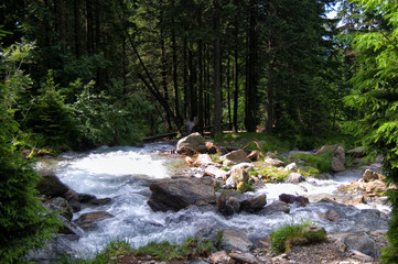 A generic woodland river scene with fast flowing river, rocks and green trees vegetation