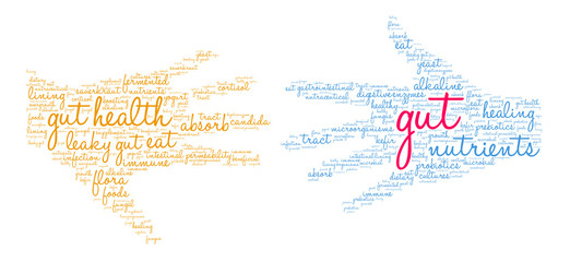 Gut Word Cloud on a white background. 
