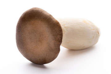 King oyster mushroom on white background.