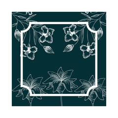 frame with plants and herbs isolated icon