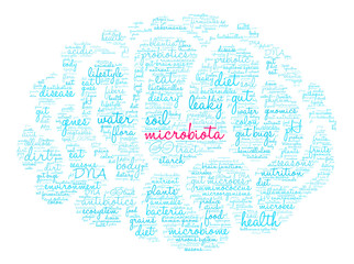 Fototapeta na wymiar Microbiota Word Cloud on a white background. 