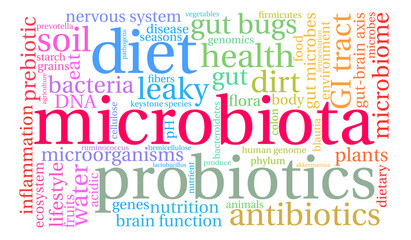 Microbiota Word Cloud on a white background. 