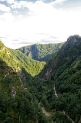 Fototapeta na wymiar A green forest and mountains valley in Romania