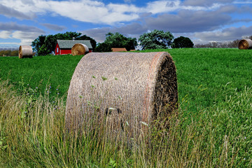 bales of hay
