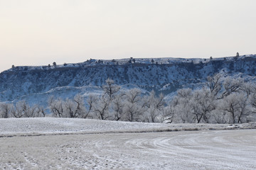 winter landscape