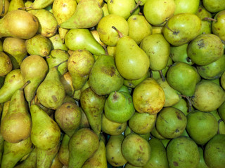 pile of ripe fresh yellow-green pears
