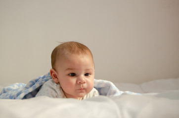 cute 4 months old baby boy having tummy time on white quilt covered with blue blanket