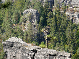 Mountain landscape. Czech Switzerland. Czech. Europe