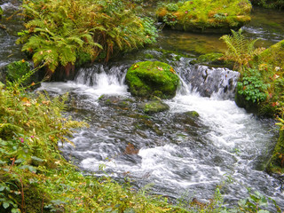 Mountain landscape. Czech Switzerland. Czech. Europe