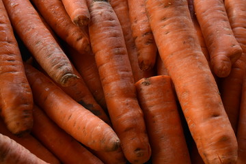 pile of fresh carrots