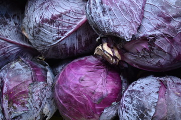 Fototapeta na wymiar red cabbage in the market
