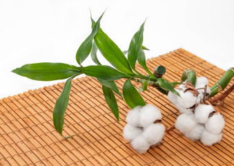 white flowers of natural cotton and fresh bamboo foliage on bamboo napkin