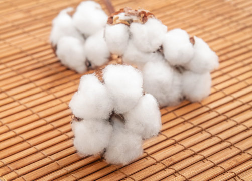 white flowers of natural cotton on bamboo napkin