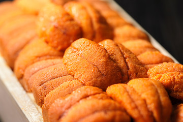 うに　Sea urchin