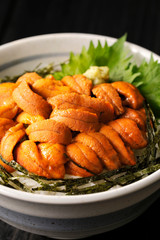 ウニ丼　Bowl of rice topped with sea urchin