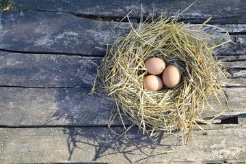 Chicken eggs in the straw nest on the board floor