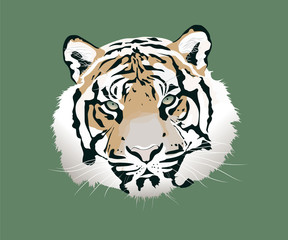 The tiger vector illustration. Animal head icon.