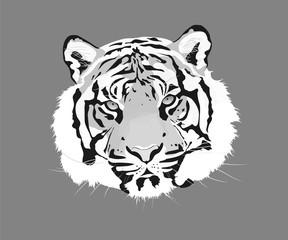 The tiger vector illustration. Animal head icon.