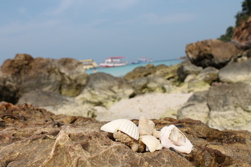 Fototapeta na wymiar view of coastline in Thailand