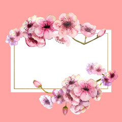 Fototapeta na wymiar Cherry blossom, Sakura Branch with pink flowers in gold frame with beautiful pink background. Image of spring. Frame. Watercolor illustration. Design element. Rectangular frame