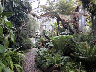 Serre tropicale