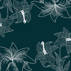 pattern plants and herbs isolated icon