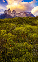 Los Cuernos And Mata Negra