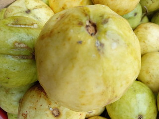 Guava