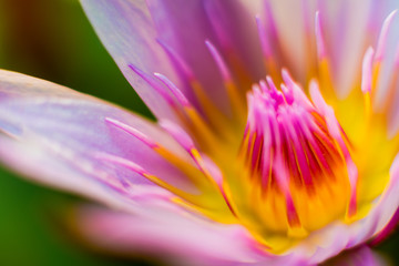 Abstract colored background close up. Macro.