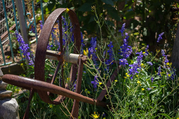 Rusty lools and flowers