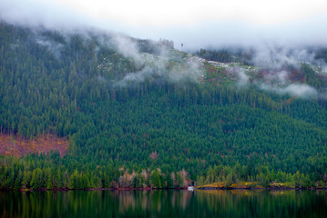 Morning fog in Sproat lake in Vancouver Island, Canada