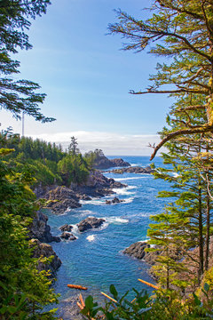 Rugged shoreline of wild pacific trail in Ucluelet, Vancouver Island, BC