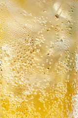 close up of beer