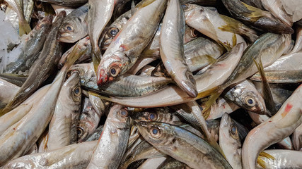 Obraz premium anchovy, hamsi, fish market
