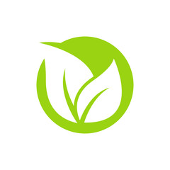 Fototapeta na wymiar leaf logo icon design template vector