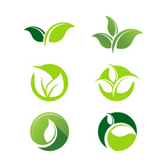 leaf logo icon design template vector