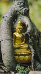 statue of buddha in thailand