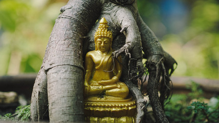 statue of buddha in thailand