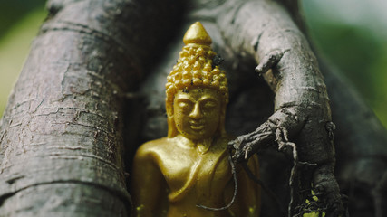 Close up buddha statue in thailand