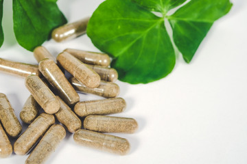 Alternative herb capsule and fresh herb background ,health concept.