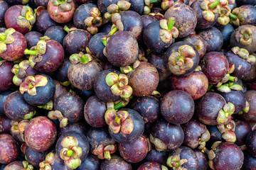 Many mangosteen to sell at the markets in Thailand