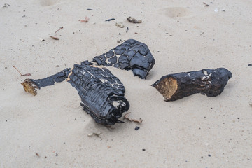 Beach campfire on  sand shore. Burned wood on white sand.