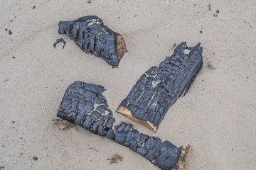 Beach campfire on  sand shore. Burned wood on white sand.