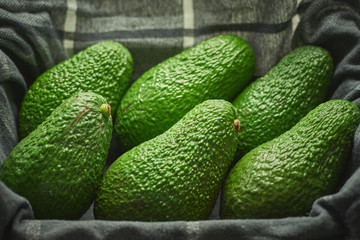 Seis aguacates encima de un paño de cocina