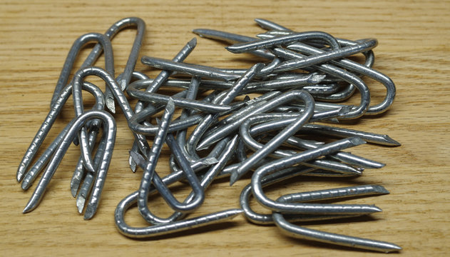 Barb wire fence staples