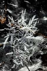 Ice patterns along Railroad Brook in Valley Falls Park, Connecticut.