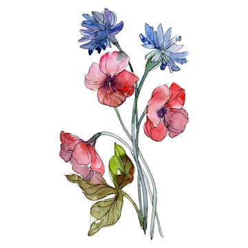 Red and blue floral botanical flowers. Watercolor background illustration set. Isolated bouquet illustration element.