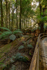 Wirrawilla Walk vert